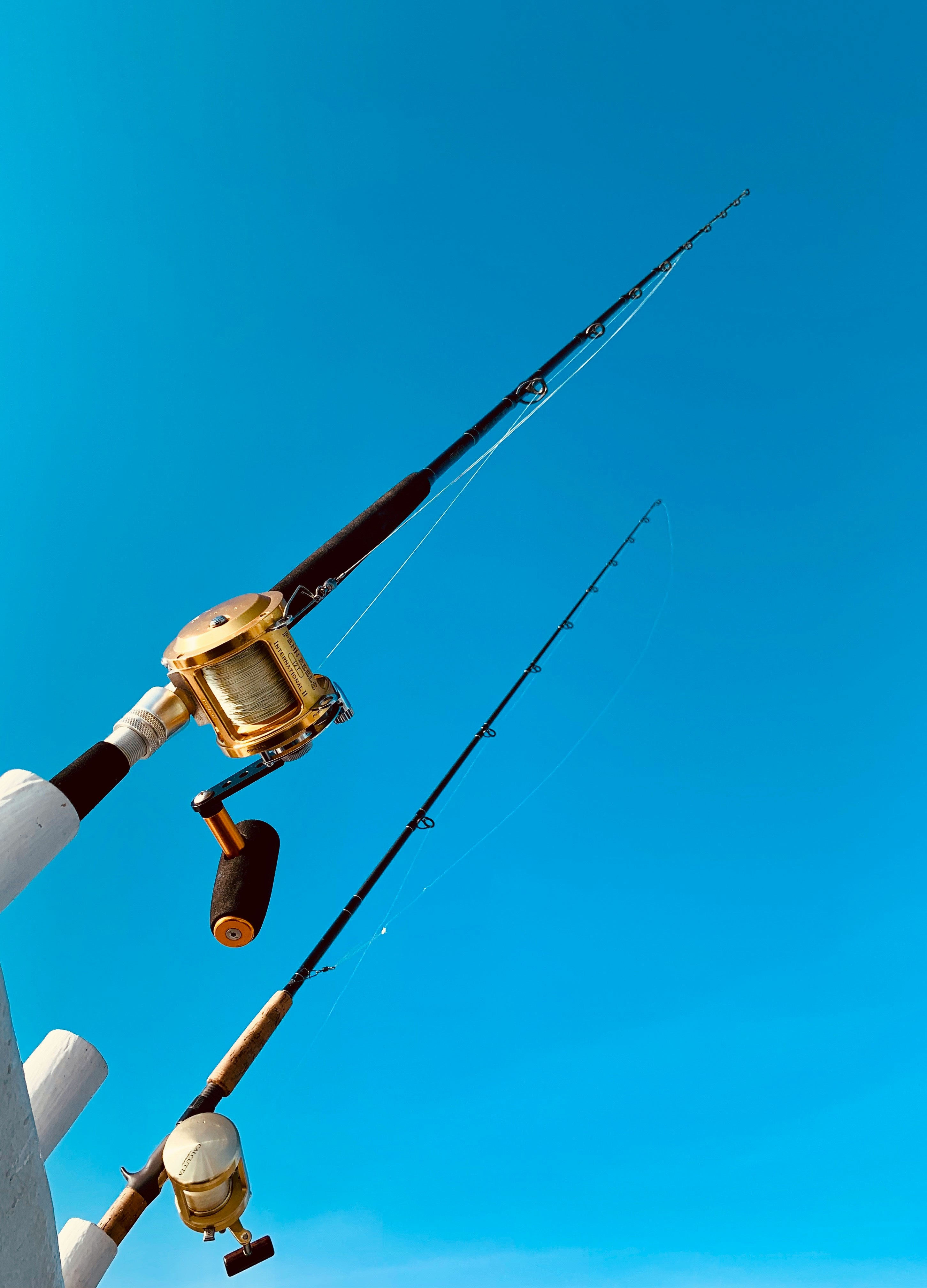 Fishing & Hunting