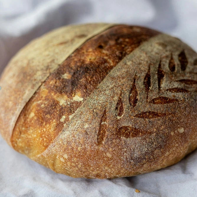 Culinary, Baking, Cooking