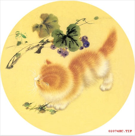 Cute Kitten Hand Embroidery Diy Beginner Kit