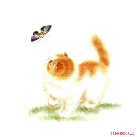 Cute Kitten Hand Embroidery Diy Beginner Kit