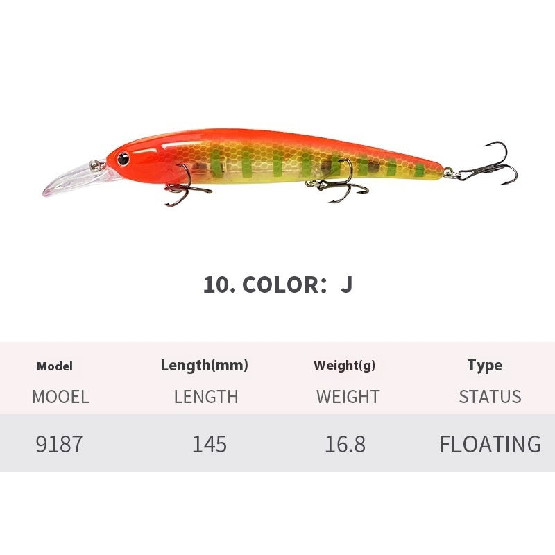 Easy Catch Floating Minnow Lure for Sea Adventures
