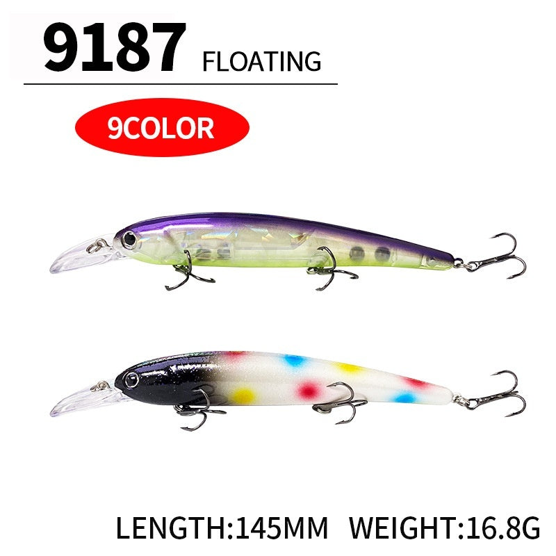 Easy Catch Floating Minnow Lure for Sea Adventures