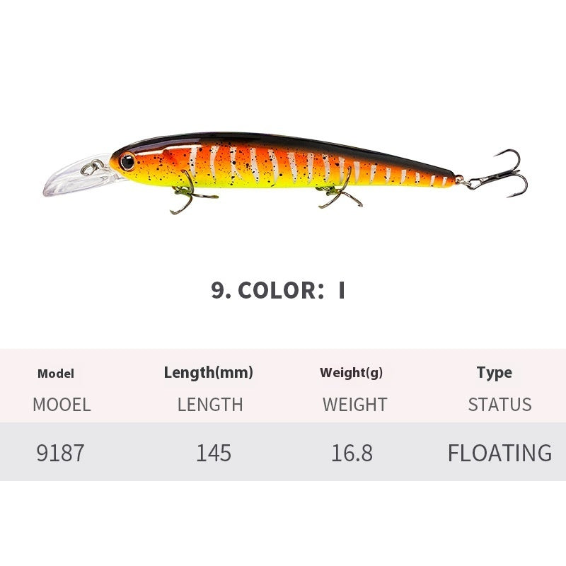 Easy Catch Floating Minnow Lure for Sea Adventures