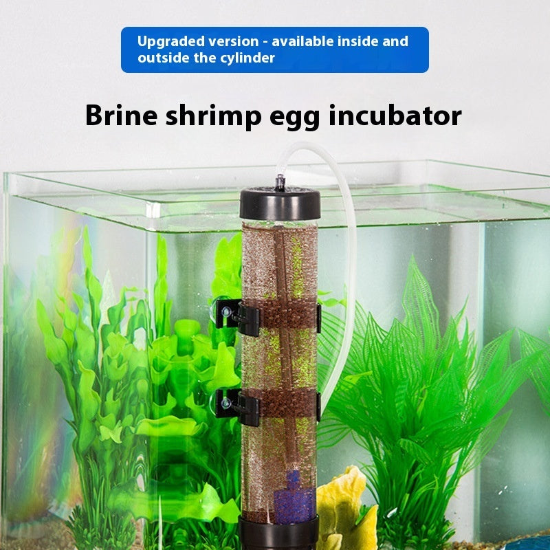 Portable And Simple Home Artemia Incubator