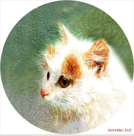 Cute Kitten Hand Embroidery Diy Beginner Kit
