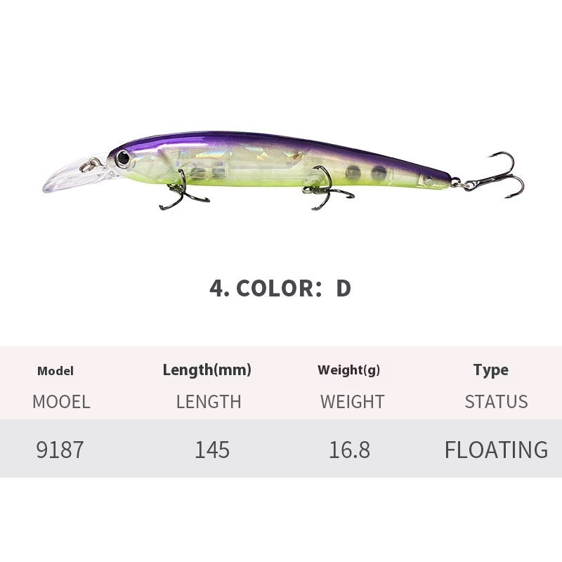 Easy Catch Floating Minnow Lure for Sea Adventures