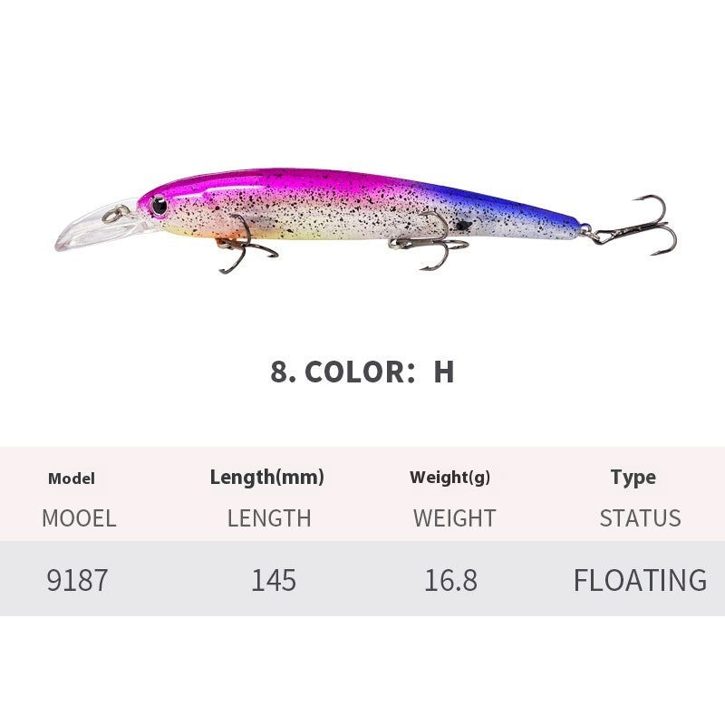 Easy Catch Floating Minnow Lure for Sea Adventures