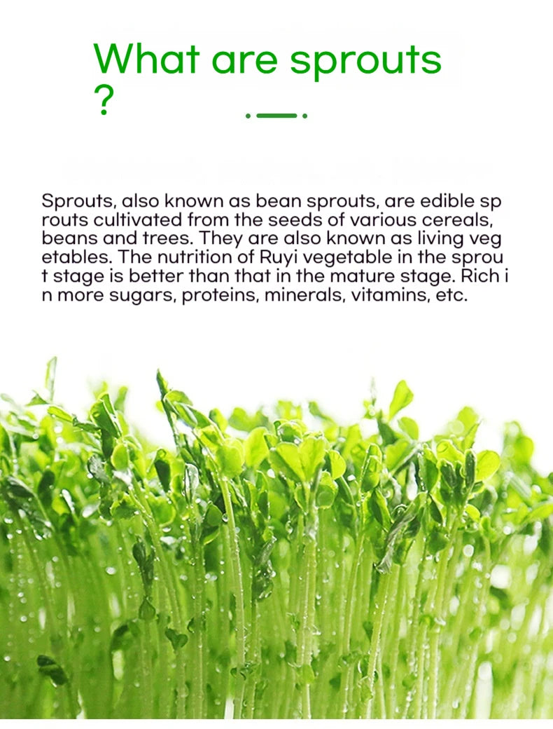 1pc, Home Garden Balcony Portable Pet Grass Soilless Hydroponic Bean Seedling Tray Soilless Cultivation Tray Home Sprout Seedlin