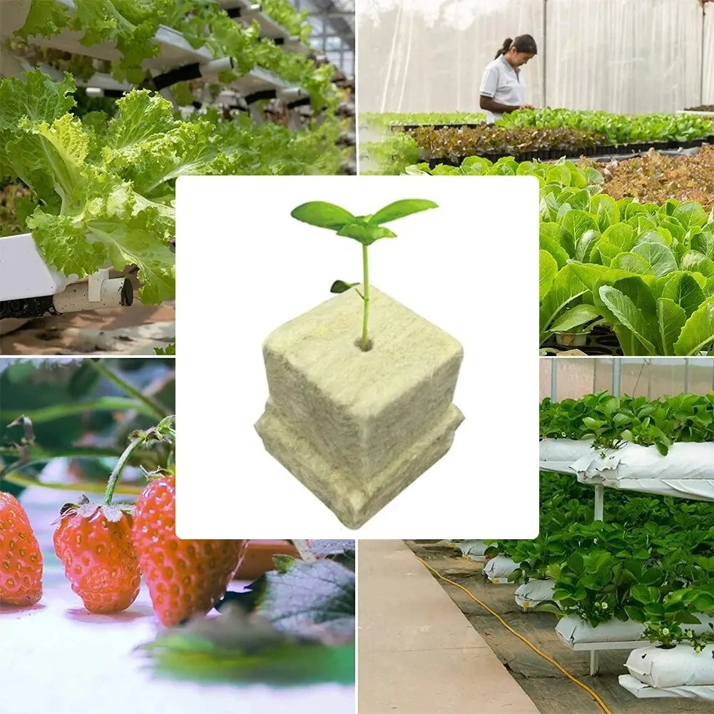 50pcs 25x25x25mm Stonewool Hydroponic Grow Media Cubes Plant Cubes Soilless Substrate Seeded Rock Wool Plug Seedling Block