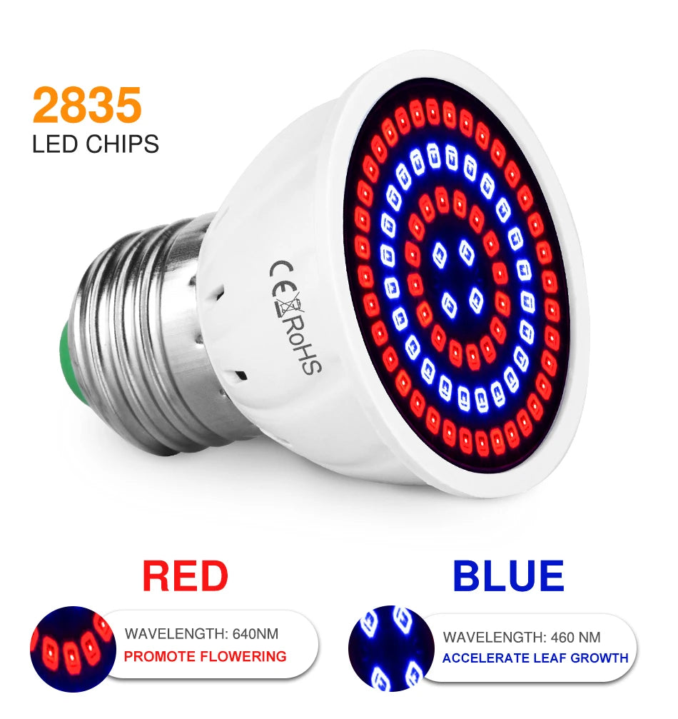 LED Grow Full Spectrum Bulb E27 E14 GU10 MR16 220V Greenhouse Hydroponic Lamp Grow Light For Indoor Plant Phyto Flower Lamp