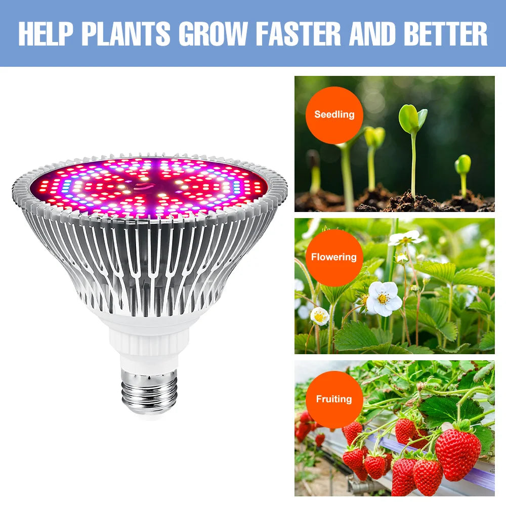 E27 LED Grow Light Bulb E14 Full Spectrum Plant Lamp Indoor Flower Seeds Hydroponics Cultivation Lights For Vegetable Growth Box