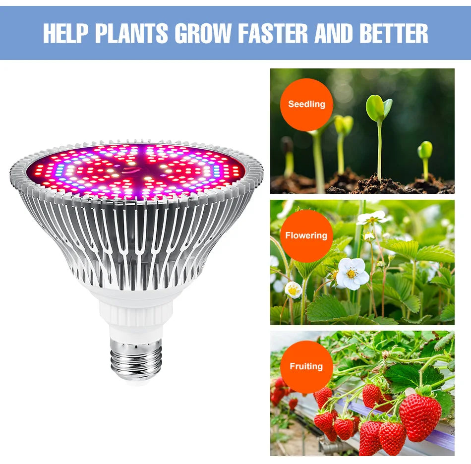 E27 LED Grow Light Bulb E14 Full Spectrum Plant Lamp Indoor Flower Seeds Hydroponics Cultivation Lights For Vegetable Growth Box