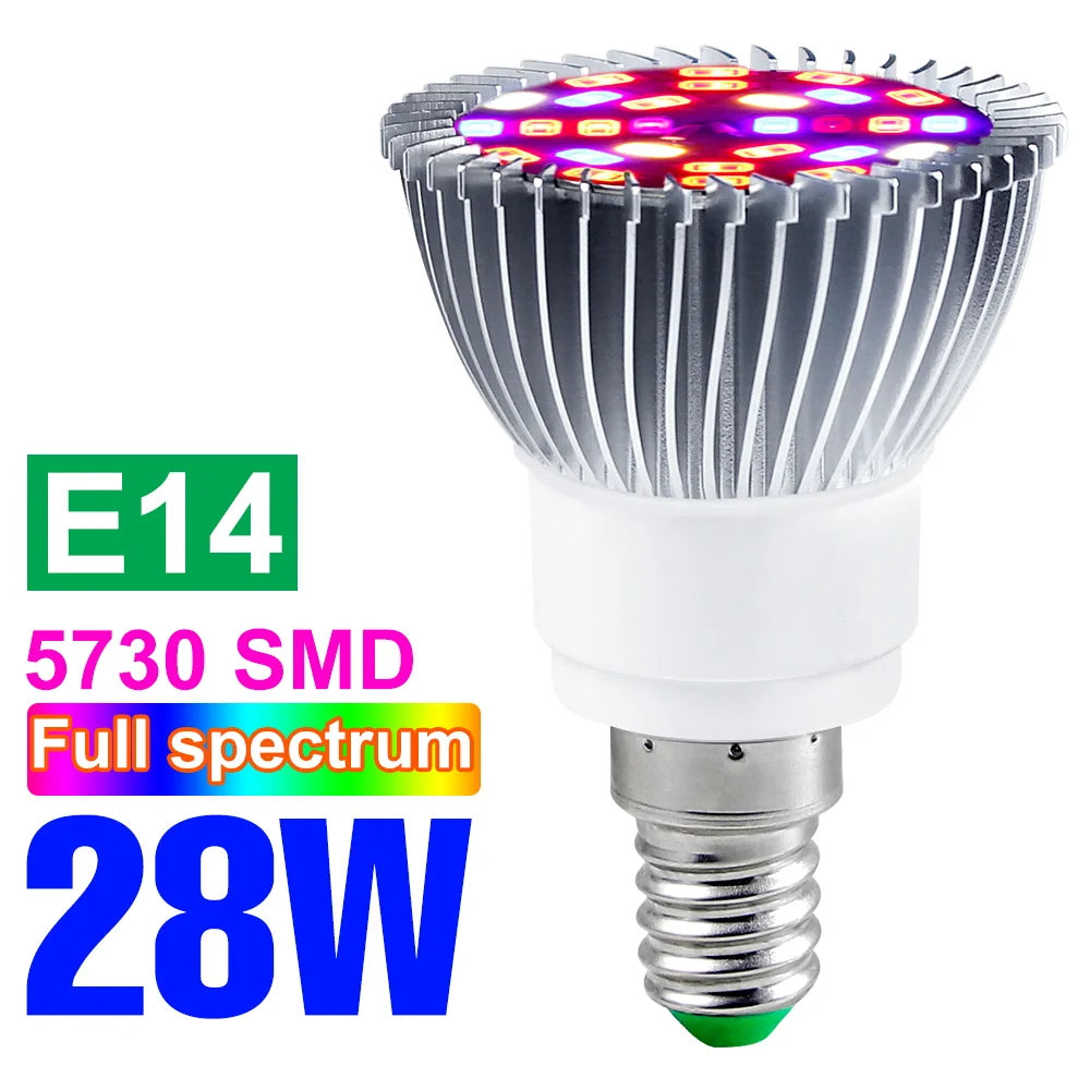 E27 LED Grow Light Bulb E14 Full Spectrum Plant Lamp Indoor Flower Seeds Hydroponics Cultivation Lights For Vegetable Growth Box