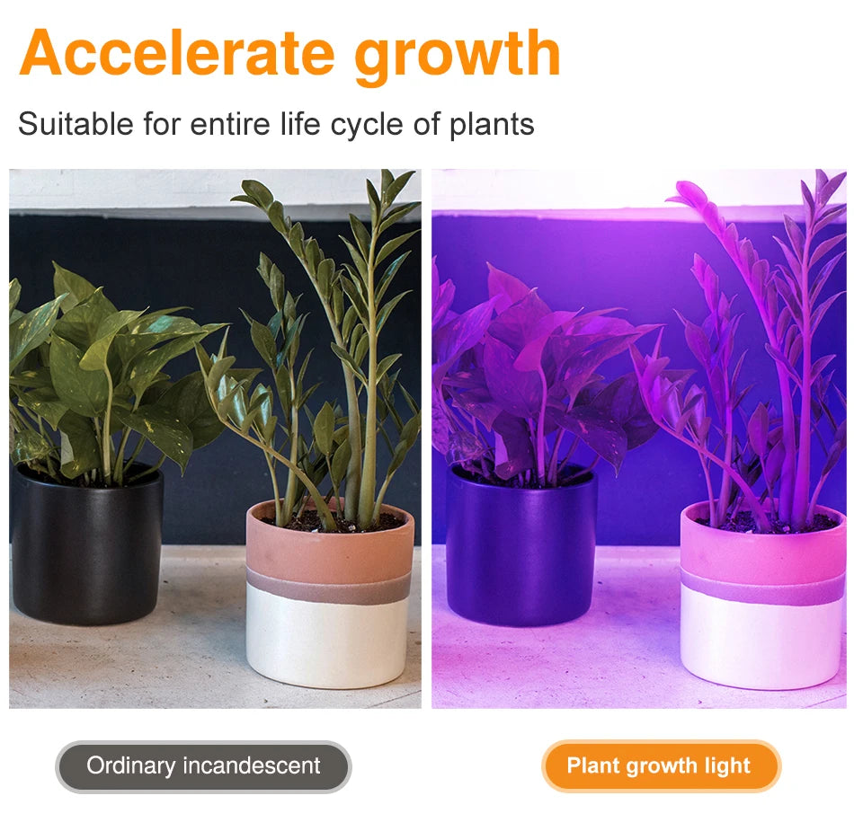 LED Grow Full Spectrum Bulb E27 E14 GU10 MR16 220V Greenhouse Hydroponic Lamp Grow Light For Indoor Plant Phyto Flower Lamp
