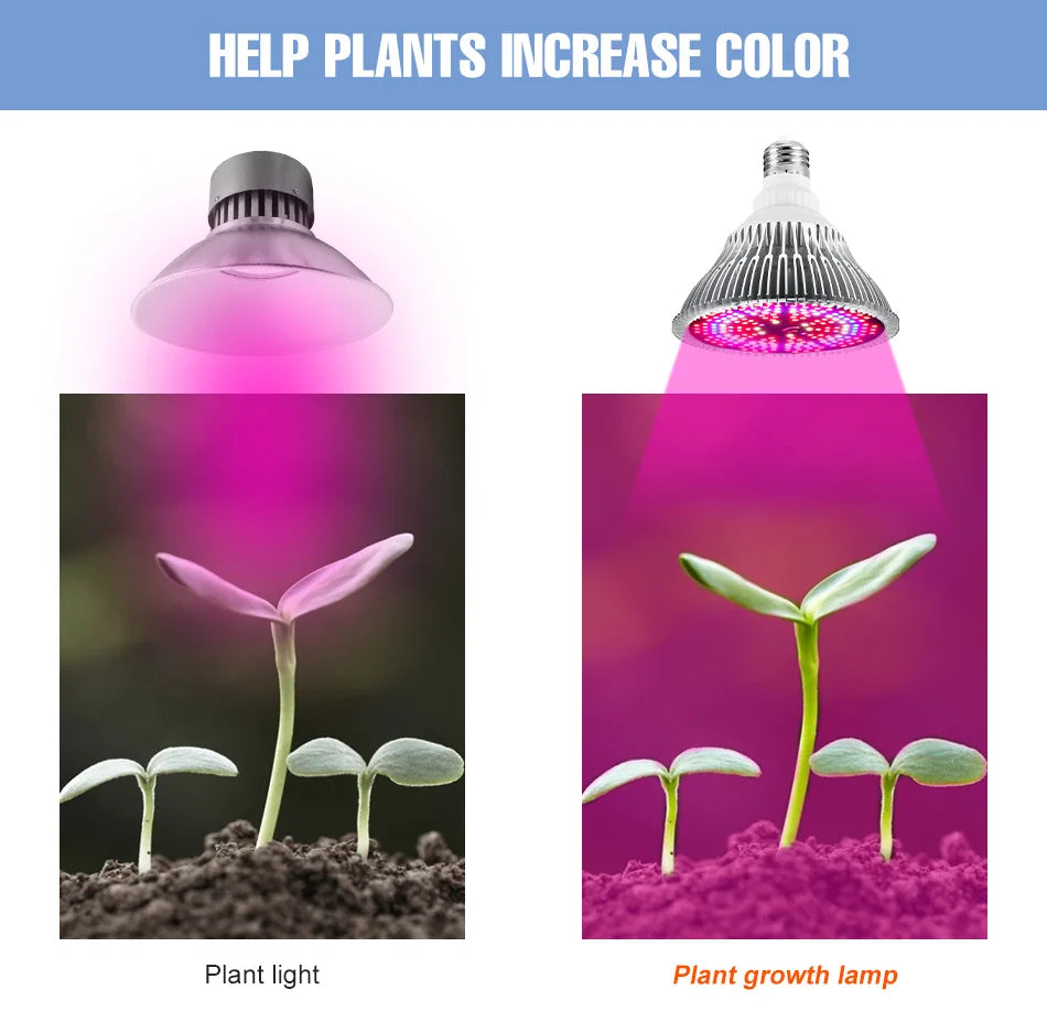E27 LED Grow Light Bulb E14 Full Spectrum Plant Lamp Indoor Flower Seeds Hydroponics Cultivation Lights For Vegetable Growth Box