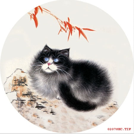 Cute Kitten Hand Embroidery Diy Beginner Kit