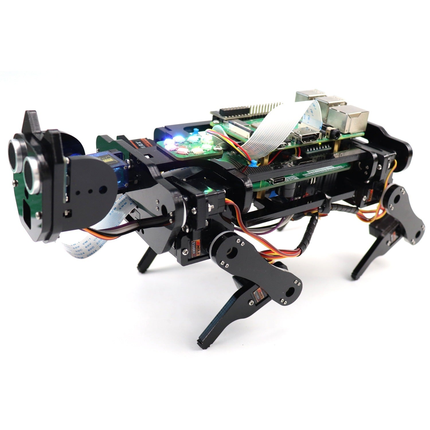 Raspberry Pi Robot Dog Face Recognition