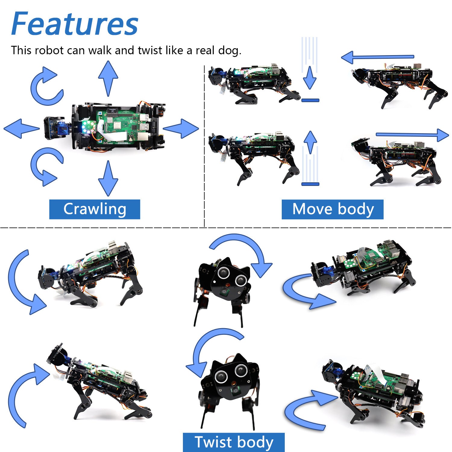 Raspberry Pi Robot Dog Face Recognition